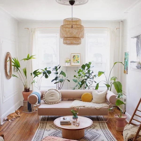 Home Decor